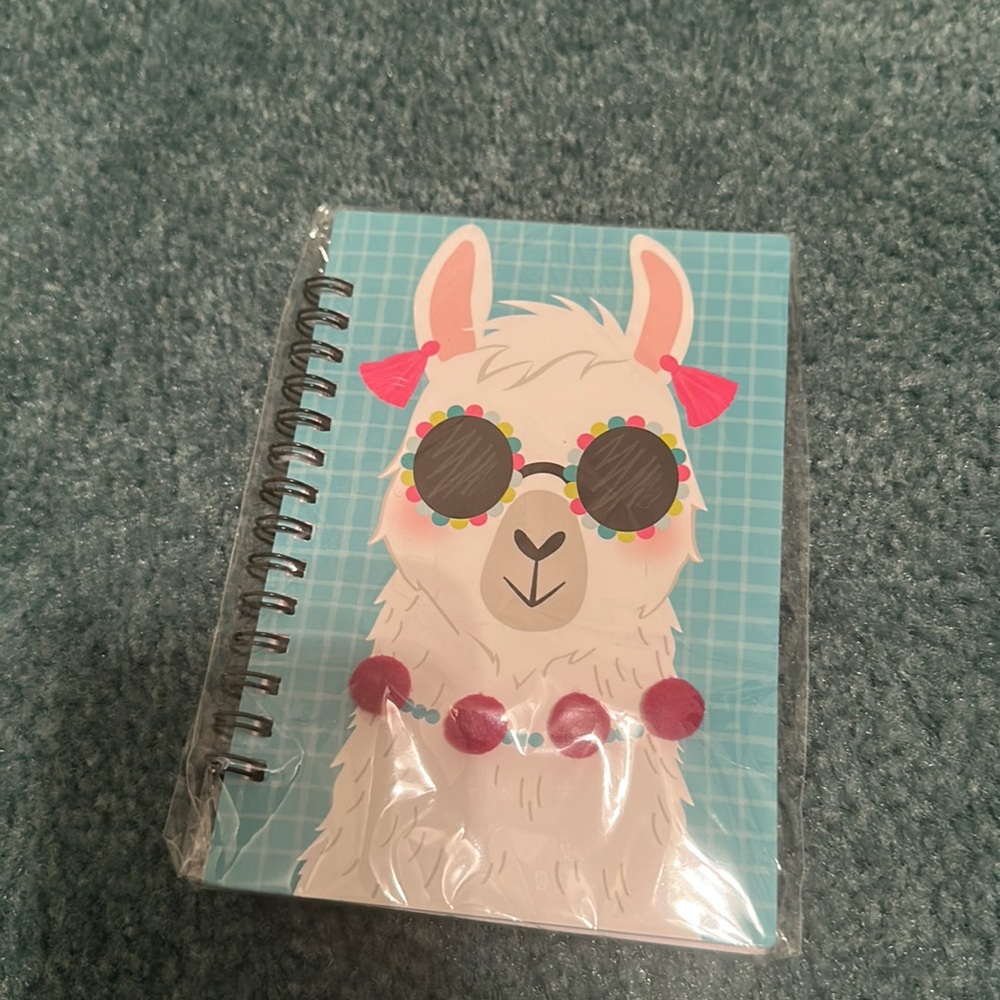 Llama notebook